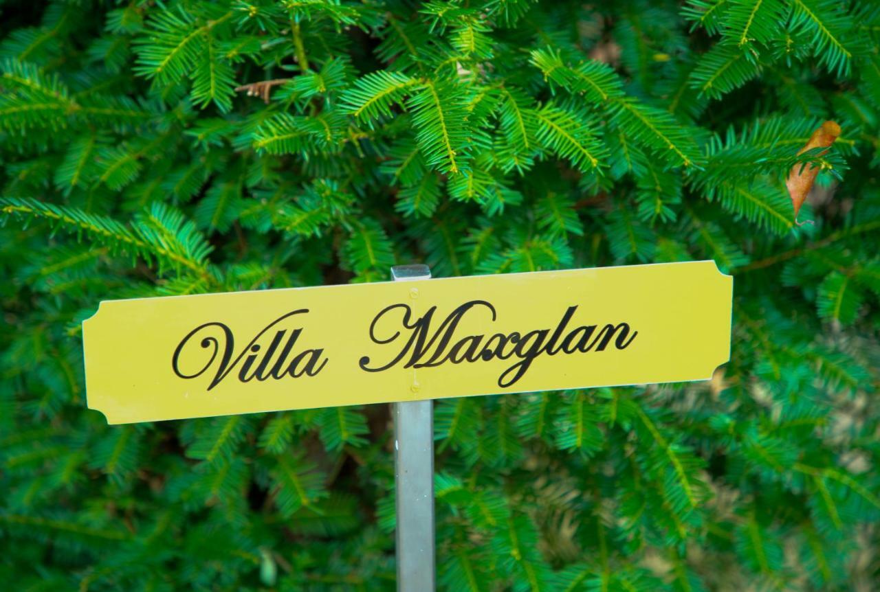 Villa Maxglan Salzburg Bagian luar foto