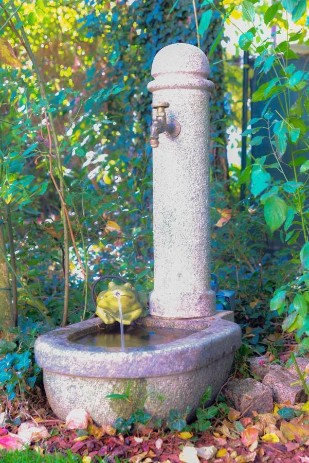Villa Maxglan Salzburg Bagian luar foto