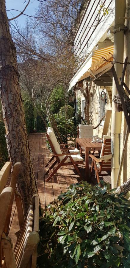Villa Maxglan Salzburg Bagian luar foto